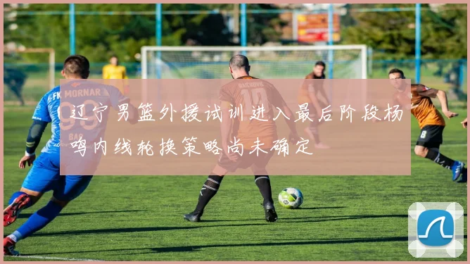 辽宁男篮外援试训进入最后阶段杨鸣内线轮换策略尚未确定